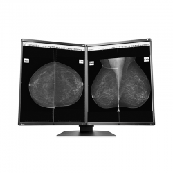Monitor radiologie Eizo RadiForce GX560-MD